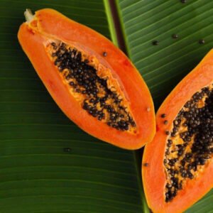 papaya blog
